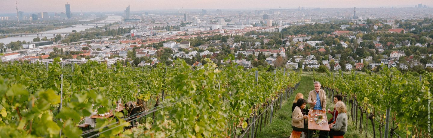 People enjoying wine in a Vienna vineyard.